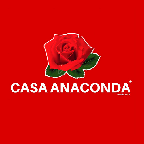 cliente-next-energy-4